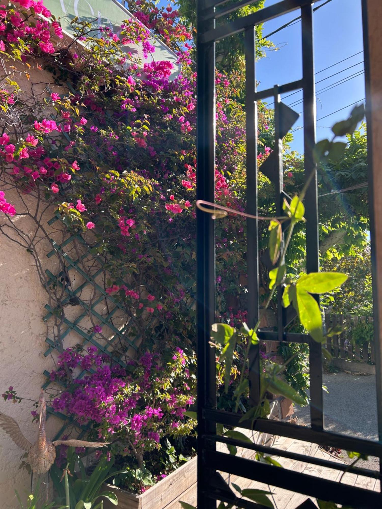 Hotel Auberge Provencale Saint-Raphaël Esterno foto