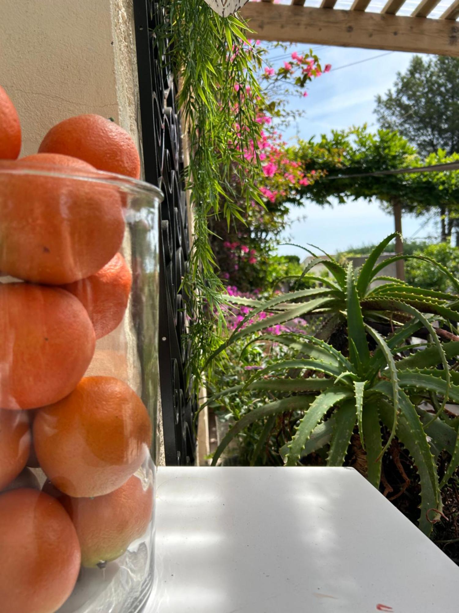 Hotel Auberge Provencale Saint-Raphaël Esterno foto